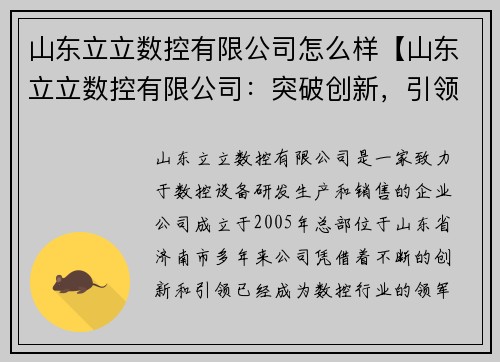 山东立立数控有限公司怎么样【山东立立数控有限公司：突破创新，引领数控行业发展】